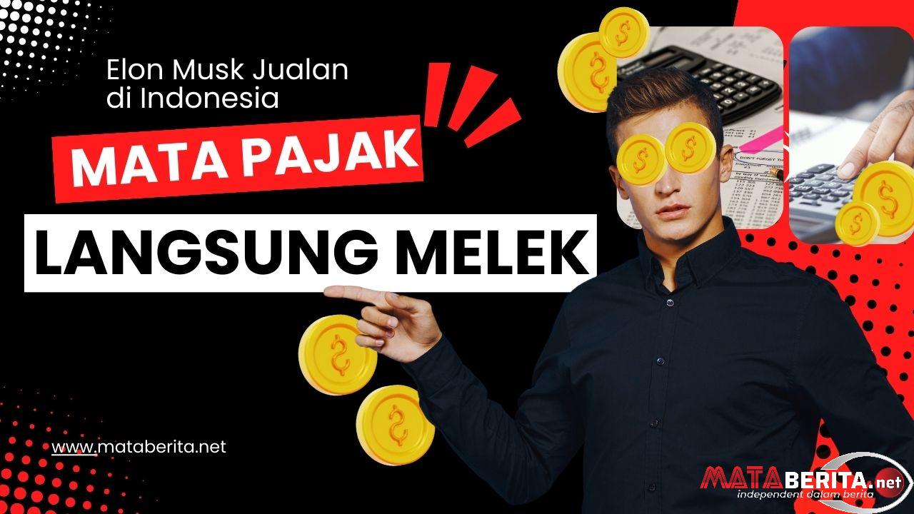 Mata Pajak Langsung Menyala Usai Starlink Hadir di Indonesia