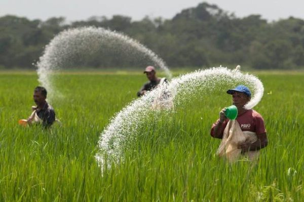 Sudaryono : Urusan Pupuk Sangat Penting, Jika Sampai Terlambat ke Petani Bisa Menyebabkan Masalah