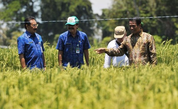 Andi Amran Sulaiman Ungkap Soal Upaya Untuk Wujudkan Swasembada, Serta Jadikan Indonesia Lumbung Pangan Dunia