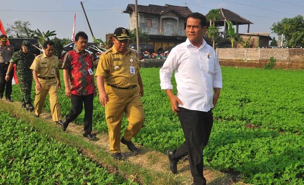 Mentan Andi Amran Sulaiman Bakal Libatkan Mahasiswa Kembangkan Program Cetak Sawah Satu Juta Hektar