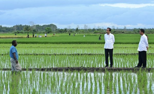 Ketua Lembaga Masyarakat Adat Yohanes Mahuse, Pastikan Program Cetak Sawah Tak Rugikan Masyarakat Adat