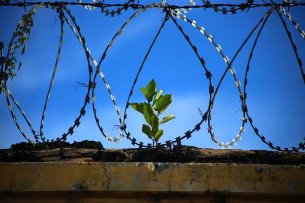 Imigrasi Ngurah Rai Pindahkan Pasangan WNA yang Kerap Tak Bayar ke Rudenim Denpasar