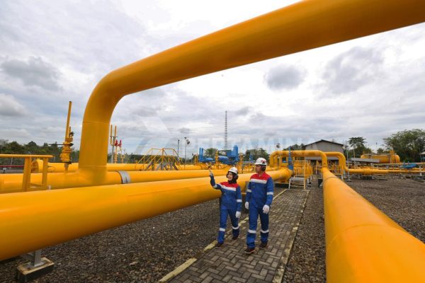 Siap Kembangkan Energi Berkelanjutan di IKN, Ini Portofolio Energi Hijau Pertamina