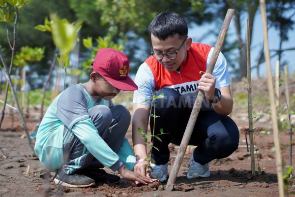 Ajak Masyarakat Tanam Mangrove, Pertagas Hijaukan Pesisir Indramayu