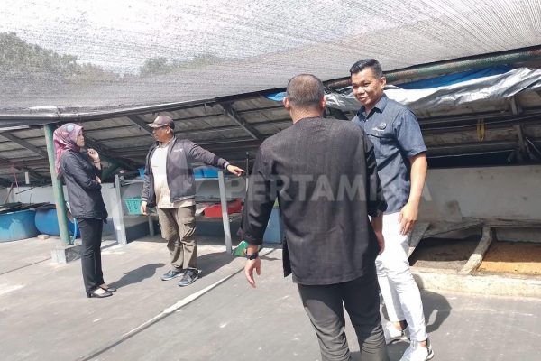 82% Limbah Hotel Berhasil Dikelola Mandiri oleh Patra Jasa
